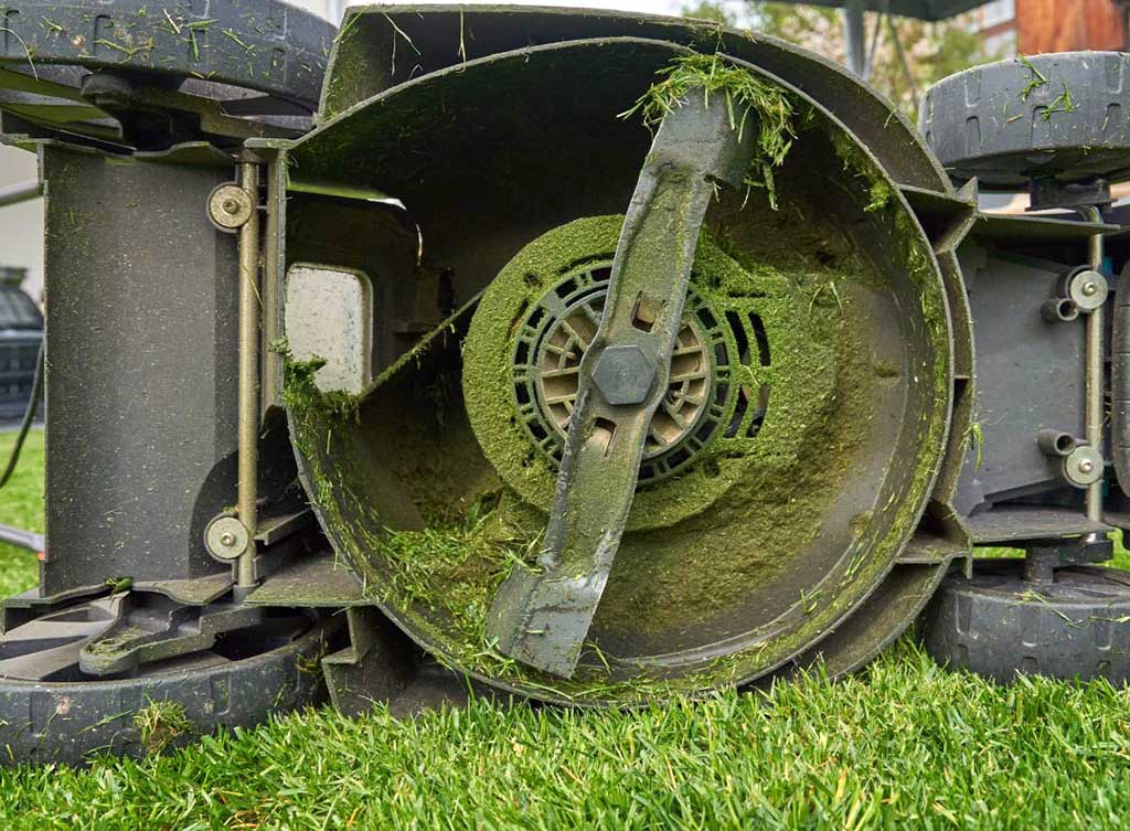 Should You Sharpen or Replace Your Mower Blades